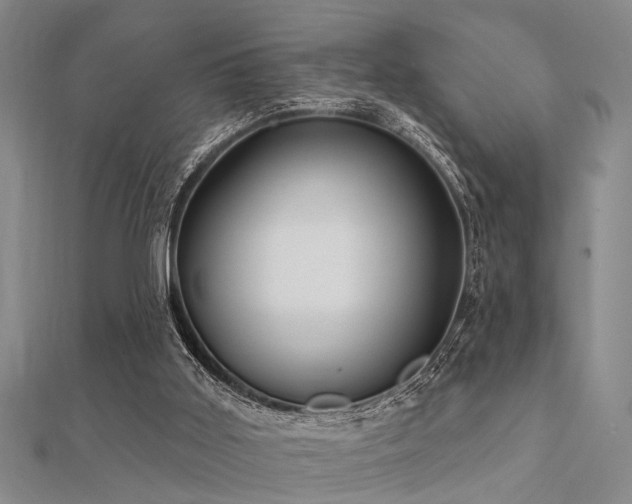 X0000112360011200908131506