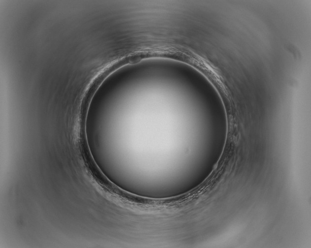 X0000112360012200908131506