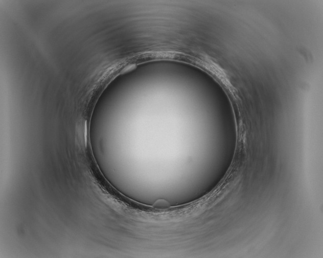 X0000112360013200908131506