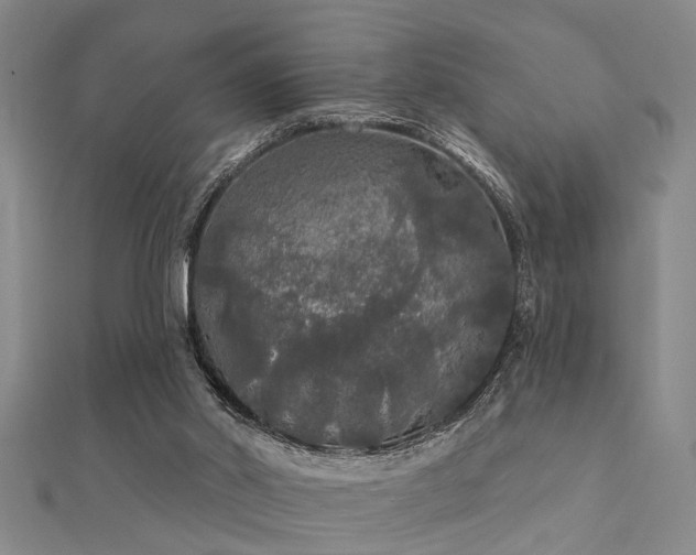X0000112360014200908131506