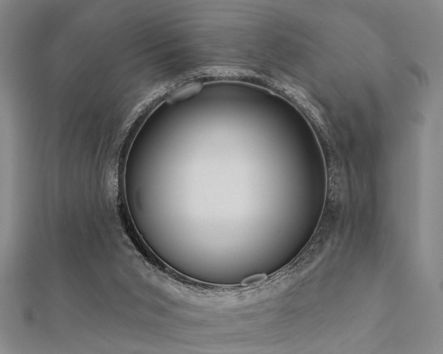 X0000112360015200908131506