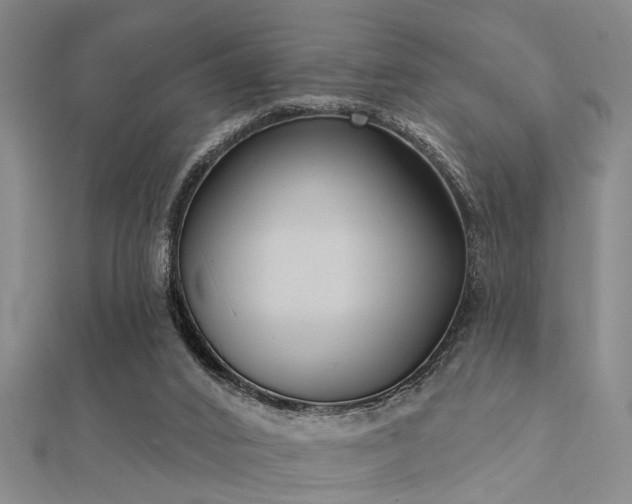 X0000112360016200908131506