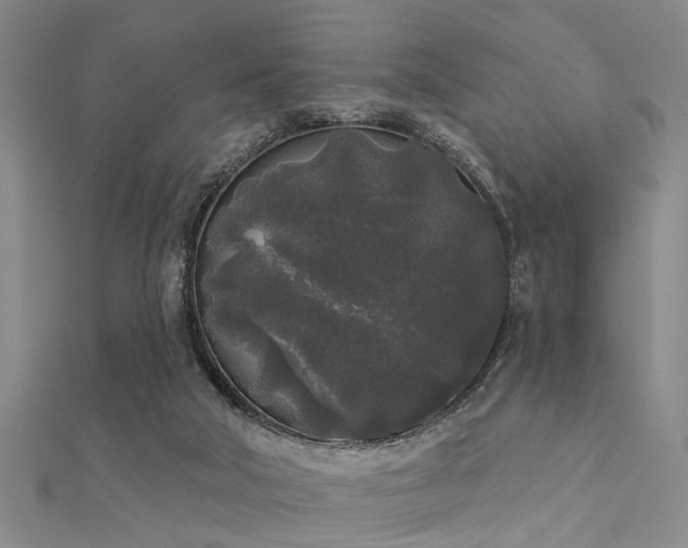 X0000112360018200908131506