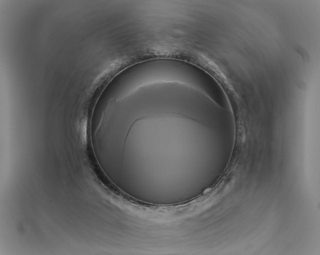 X0000112360019200908131506