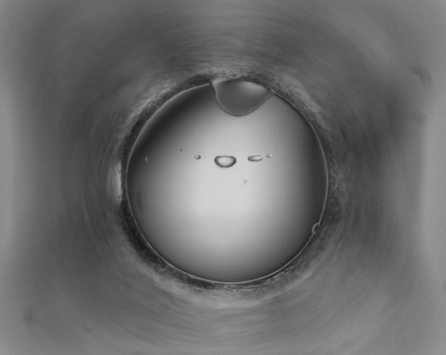 X0000112360020200908131506