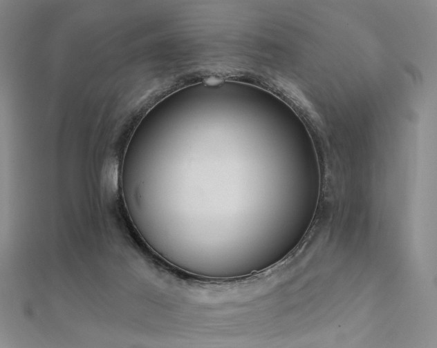 X0000112360021200908131506