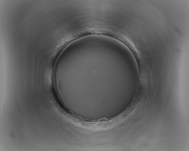 X0000112360023200908131506