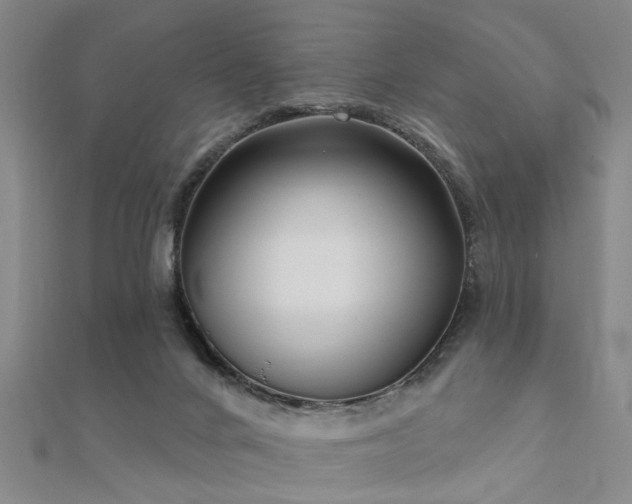 X0000112360024200908131506