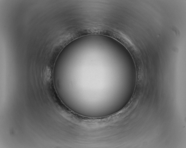 X0000112360025200908131506