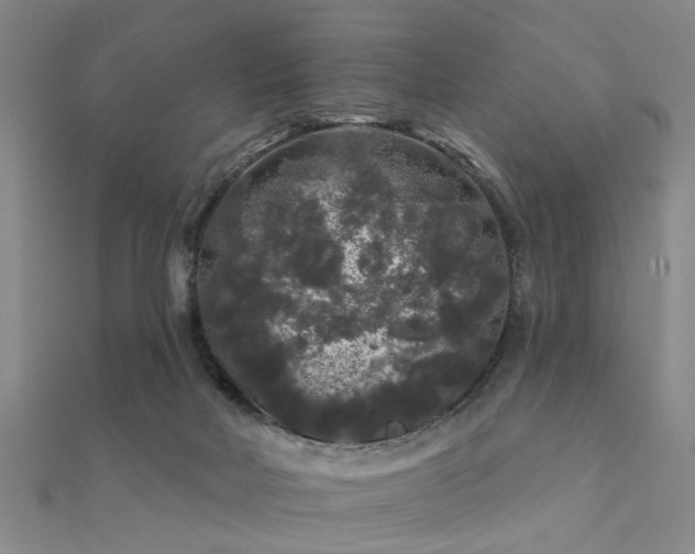 X0000112360026200908131506