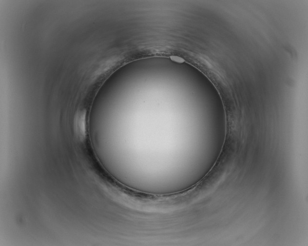 X0000112360028200908131505