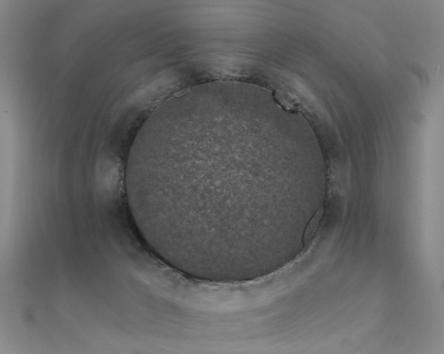 X0000112360029200908131505