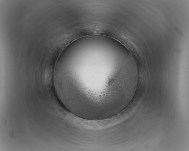 X0000112360030200908131505