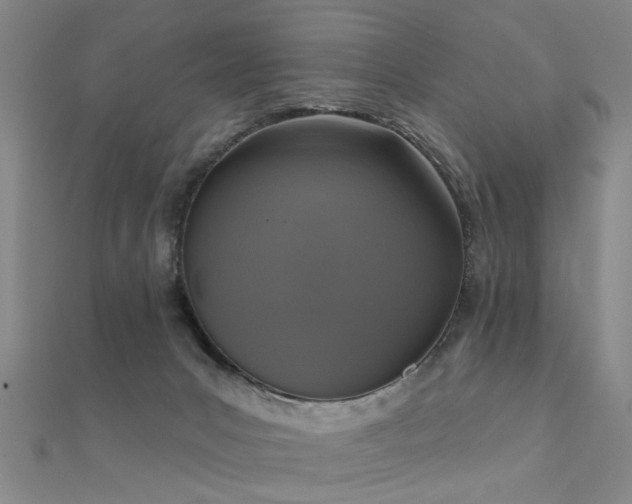 X0000112360031200908131505