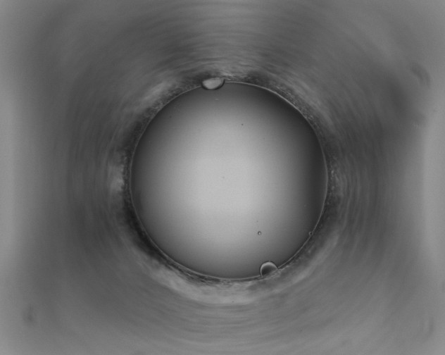 X0000112360032200908131505