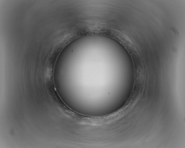 X0000112360033200908131505