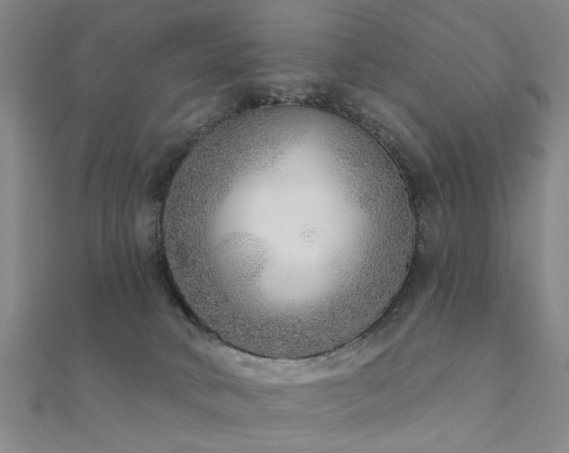 X0000112360034200908131505