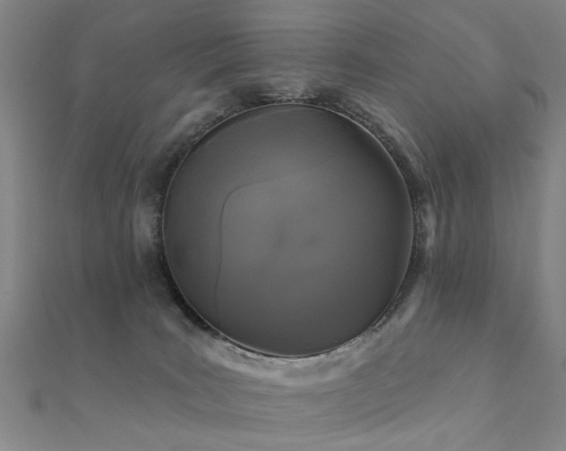 X0000112360035200908131505