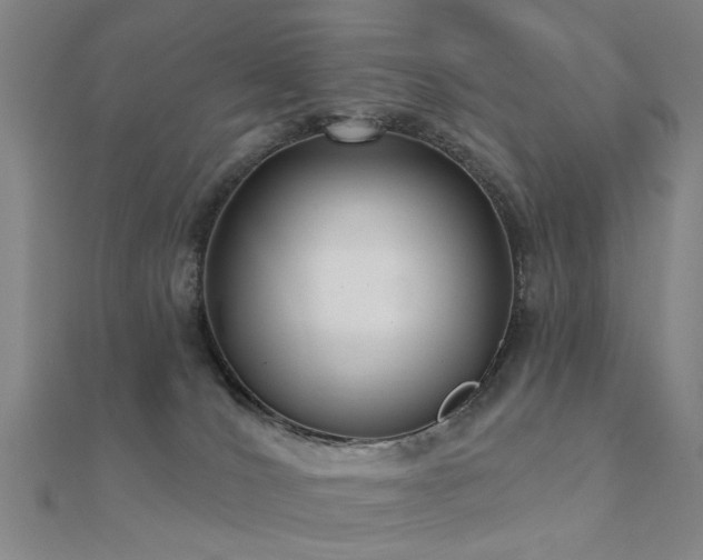 X0000112360036200908131505