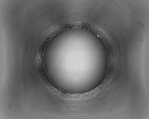X0000112360037200908131505