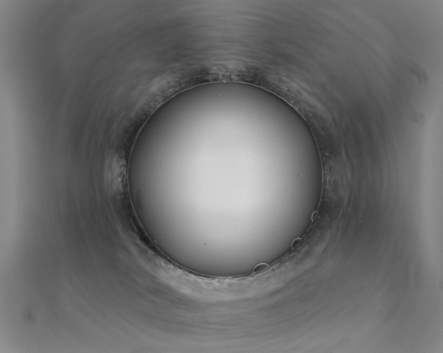 X0000112360038200908131505