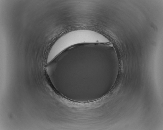 X0000112360039200908131505