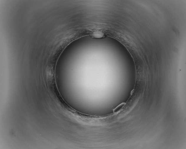 X0000112360040200908131505