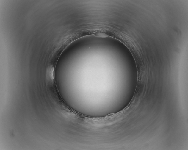 X0000112360041200908131505