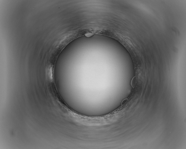 X0000112360042200908131505