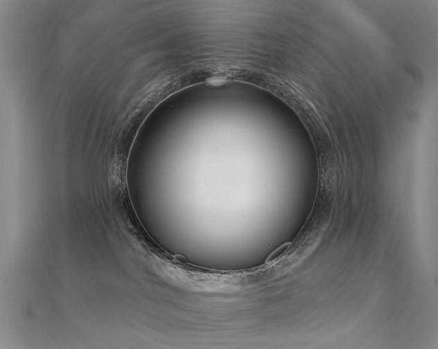 X0000112360044200908131505
