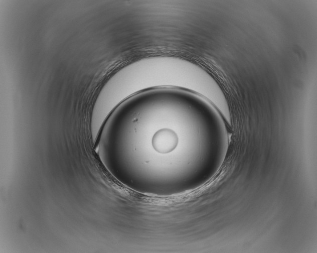 X0000112360045200908131505