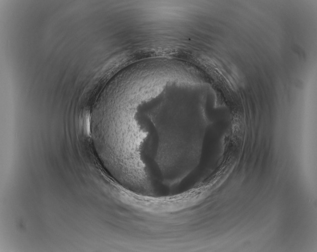X0000112360046200908131505