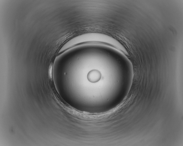 X0000112360047200908131505
