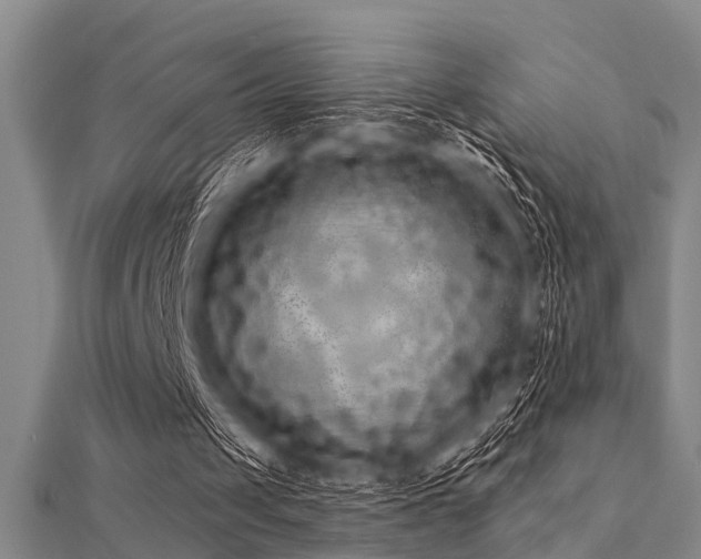 X0000112360049200908131504