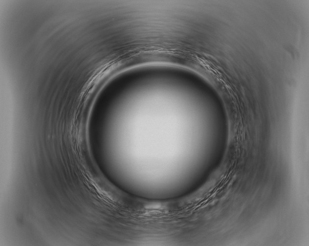 X0000112360050200908131504