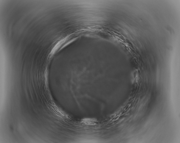 X0000112360051200908131504