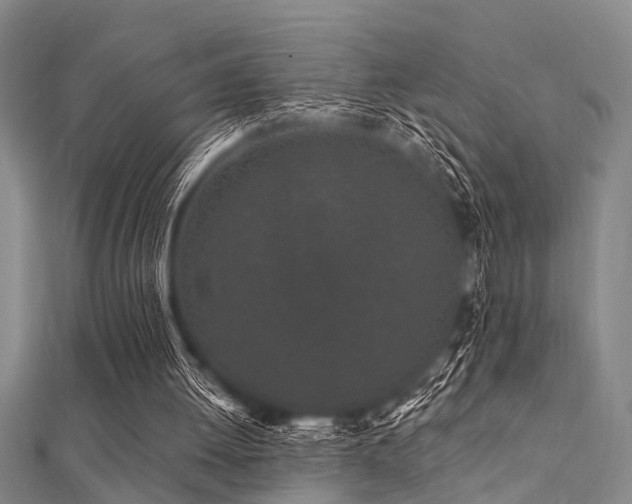 X0000112360052200908131504