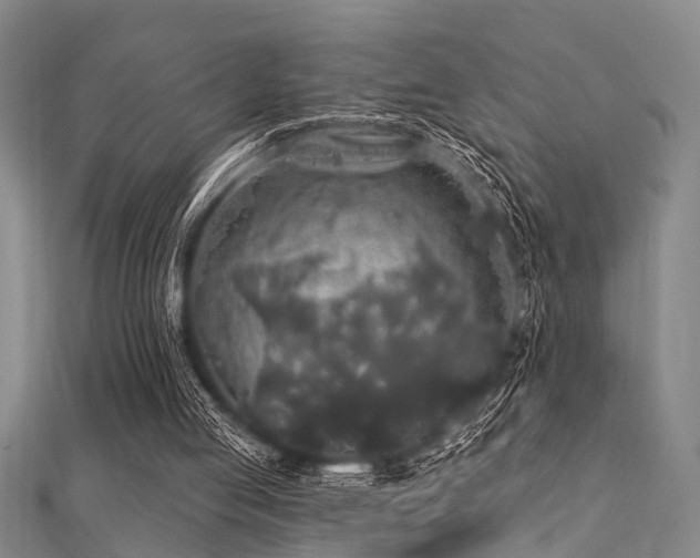 X0000112360053200908131504