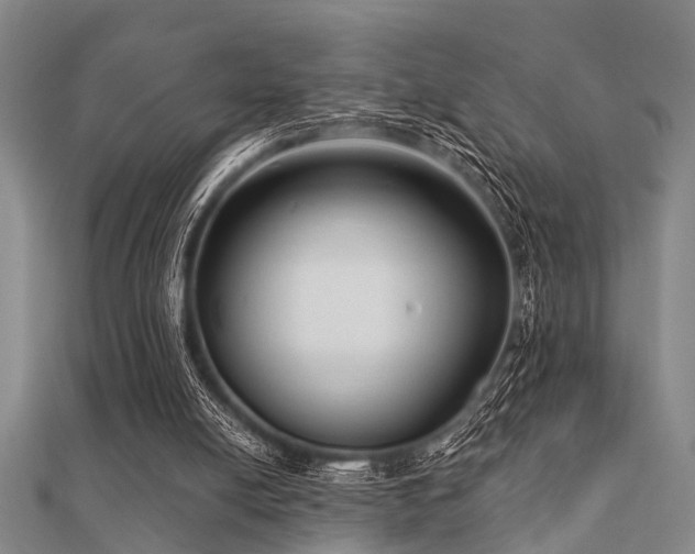 X0000112360054200908131505