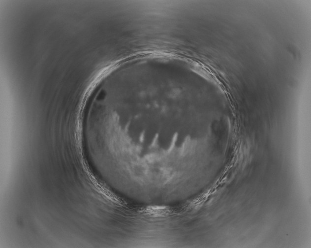 X0000112360055200908131505