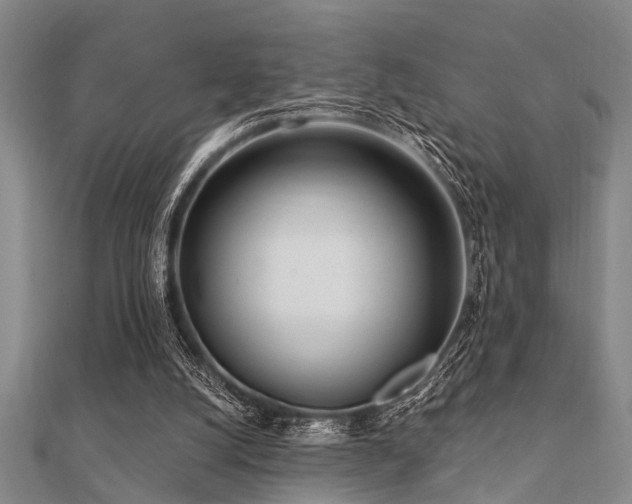 X0000112360056200908131505