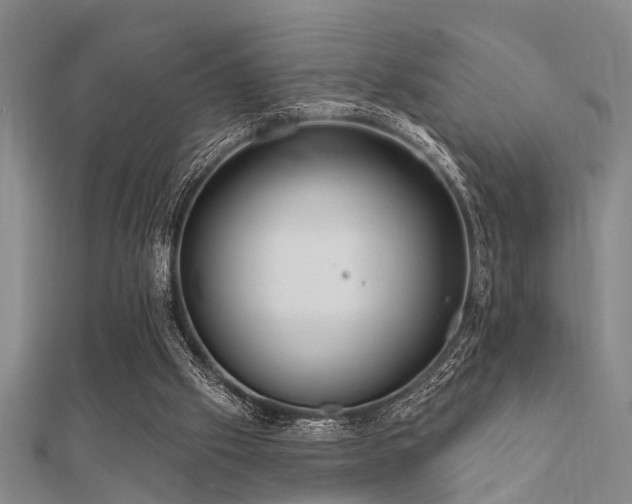 X0000112360057200908131505