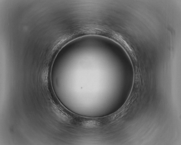X0000112360058200908131505