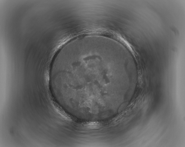 X0000112360059200908131505