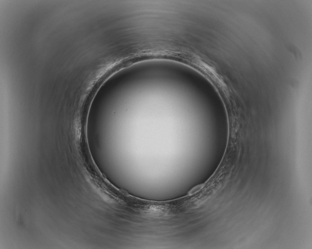X0000112360060200908131505