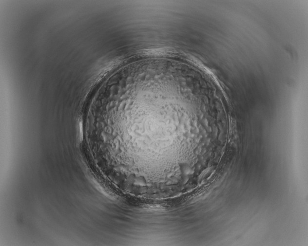X0000112360061200908131505