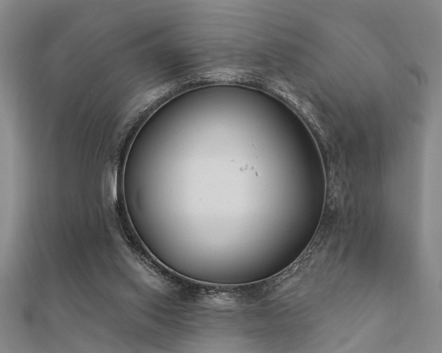 X0000112360062200908131505