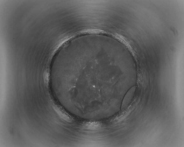 X0000112360063200908131505