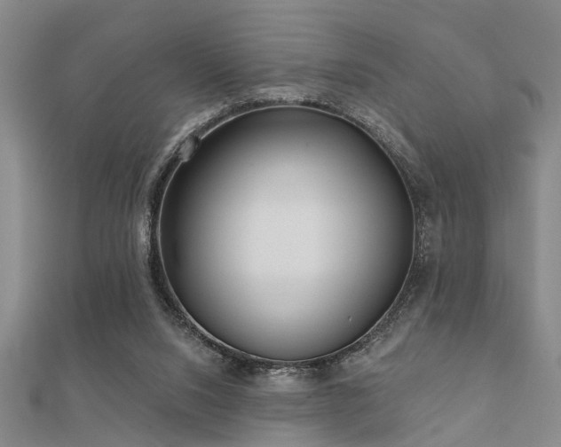 X0000112360064200908131505