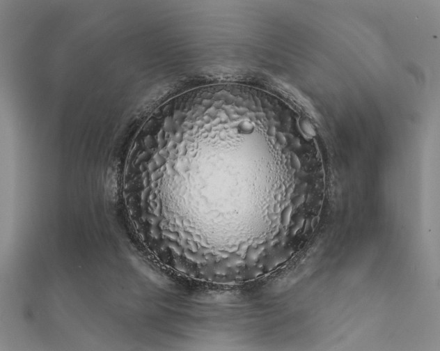 X0000112360065200908131505